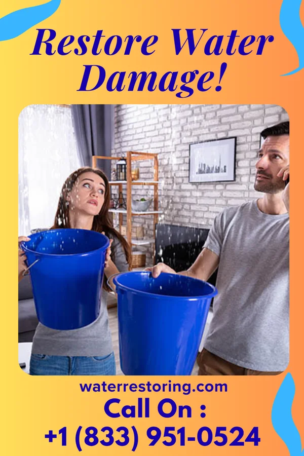 water restoration New Damage Recovery Pros Toomsboro