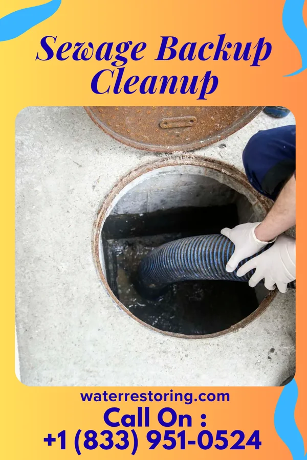 Sewage Backup Cleanup in Toomsboro, GA